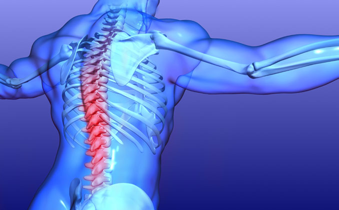 Stock-Spine-image